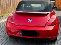 gebraucht VW Beetle 