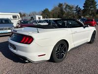 Gebraucht Ford Mustang Convertible 290 PS (213 kW) 2020 Weiß Cabrio
