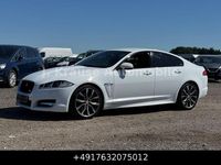 Gebraucht Jaguar XF R-Sport 241 PS (177 kW) 2015 Weiß Limousine