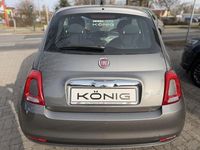 Gebraucht Fiat 500 Basis 69 PS (50 kW) 2023 Grau Kleinwagen