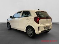 Neu Kia Picanto Vision 79 PS (58 kW) 2025 Clear white Kleinwagen