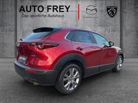 Gebraucht Mazda CX-30 2021 Rot SUV