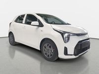 Neu Kia Picanto Vision 68 PS (50 kW) 2026 Weiß Kleinwagen