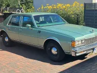 Gebraucht Chevrolet Caprice 170 PS (125 kW) 1978 Grün Limousine