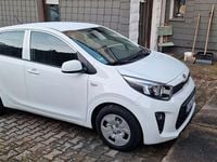 Gebraucht Kia Picanto Edition 7 84 PS (61 kW) 2020 Weiß Kleinwagen