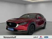 Gebraucht Mazda CX-30 Selection 122 PS (89 kW) 2019 Rot SUV