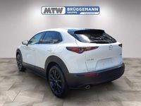 Gebraucht Mazda CX-30 Homura-Line 140 PS (102 kW) 2025 Weiß SUV