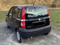 Gebraucht Fiat Panda Active 54 PS (39 kW) 2009 Schwarz Kleinwagen