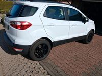 Gebraucht Ford Focus Sport 101 PS (74 kW) 2019 Weiß SUV