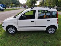 gebraucht Fiat Panda 1.2 Dynamic