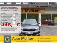 Neu Skoda Kamiq Selection 150 PS (110 kW) 2025 Grau SUV
