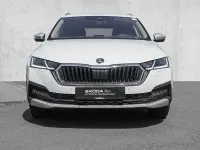 Gebraucht Skoda Octavia 200 PS (147 kW) 2023 Moonweiß perleffekt (metallic) Kombi