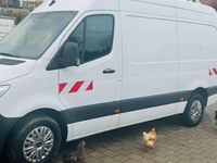 Gebraucht Mercedes Sprinter 163 PS (119 kW) 2023 Weiß Van