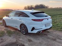 Gebraucht Kia ProCeed GT GT 204 PS (150 kW) 2019 Weiß Kleinwagen