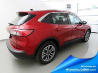 gebraucht Ford Kuga 2.0 EcoBlue Aut. Titanium (AHK+iACC)