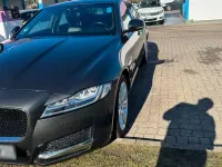 Gebraucht Jaguar XF Pure 180 PS (132 kW) 2019 Limousine