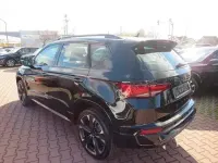 Gebraucht Cupra Ateca 150 PS (110 kW) 2025 Weiß SUV