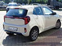 Gebraucht Kia Picanto Vision 67 PS (49 kW) 2024 Beige Kleinwagen