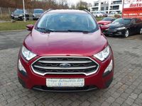 Gebraucht Ford Ecosport Cool & Connect 125 PS (91 kW) 2019 Rot SUV