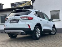 Gebraucht Ford Kuga Titanium 150 PS (110 kW) 2022 Weiß SUV