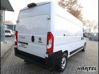 Gebraucht Fiat Ducato 140 PS (102 kW) 2021 Colore esterno, solid Van
