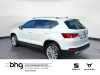 Gebraucht Seat Ateca Business 150 PS (110 kW) 2020 Weiß SUV