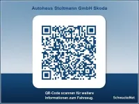 Gebraucht Skoda Kodiaq Tour 150 PS (110 kW) 2023 Grau SUV