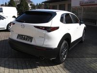 Gebraucht Mazda CX-30 Selection 122 PS (89 kW) 2020 Weiß SUV
