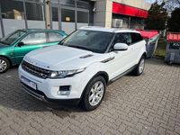 Gebraucht Land Rover Range Rover evoque Pure 190 PS (139 kW) 2012 Weiß SUV