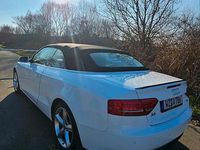 Gebraucht Audi A5 Cabriolet 170 PS (125 kW) 2011 Weiß Cabrio