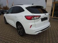 Gebraucht Ford Kuga ST-Line 152 PS (111 kW) 2021 Weiß SUV