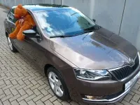 Gebraucht Skoda Rapid Style 110 PS (80 kW) 2018 Braun Kleinwagen