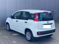 gebraucht Fiat Panda 1.2 Klima City