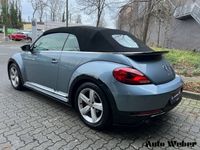 gebraucht VW Beetle 2.0 TSI Cabriolet 2.0TSI R-Line Navi Lede
