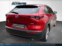 gebraucht Mazda CX-30 L SKYACTIV-X 2.0 M Hybrid AWD 6GS AL-SELECTION A18