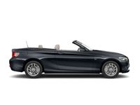 gebraucht BMW 220 i Navi Leder Xenon Luxury Line HiFi Lenkrad heizbar PDC vr.+hi. Sportsitze Driving Assiste