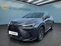 Gebraucht Lexus NX450h+ E-FOUR 309 PS (227 kW) 2023 Grau SUV