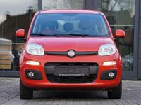 Gebraucht Fiat Panda Lounge 69 PS (50 kW) 2019 Rot Kleinwagen