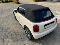 Gebraucht Mini Cooper Pepper 136 PS (100 kW) 2019 Weiß Kleinwagen