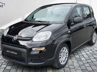 Gebraucht Fiat Panda 69 PS (50 kW) 2024 Schwarz Kleinwagen