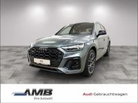 Gebraucht Audi Q5 Ambiente 204 PS (150 kW) 2024 Daytonagrau perleffekt SUV