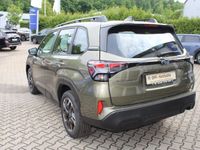 Neu Subaru Forester Trend 136 PS (100 kW) 2025 Grün SUV