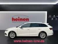 Gebraucht Skoda Octavia Style 150 PS (110 kW) 2023 Candyweiss Kombi