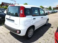 Neu Fiat Panda Icon 65 PS (47 kW) 2026 Gelato weiß Kleinwagen