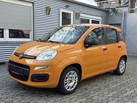 Gebraucht Fiat Panda Easy 69 PS (50 kW) 2017 Orange Kleinwagen