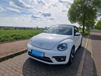 gebraucht VW Beetle 1.2 TSI BMT SOUND Cabriolet SOUND