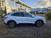 Gebraucht Ford Kuga Titanium X 224 PS (164 kW) 2021 Frozen white SUV
