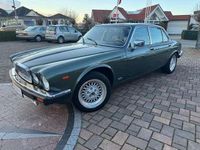 Gebraucht Jaguar XJ 269 PS (197 kW) 1983 Sarge green Limousine