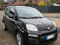 Gebraucht Fiat Panda 69 PS (50 kW) 2012 Schwarz Kleinwagen