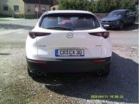 Gebraucht Mazda CX-30 Selection 186 PS (136 kW) 2023 Weiß SUV